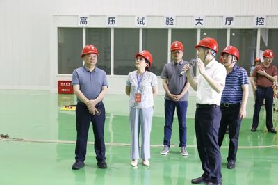 走项目、进工地、察实情!区人大常委会视察全区重点项目建设工作